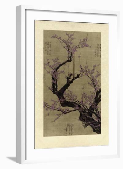 Plum Blossom Tree-Vision Studio-Framed Art Print