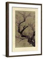 Plum Blossom Tree-Vision Studio-Framed Art Print