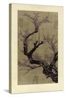 Plum Blossom Tree-Vision Studio-Stretched Canvas