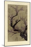 Plum Blossom Tree-Vision Studio-Mounted Art Print