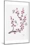 Plum Blossom with Butterflies-Beverly Dyer-Mounted Art Print