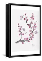 Plum Blossom with Butterflies-Beverly Dyer-Framed Stretched Canvas