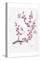 Plum Blossom with Butterflies-Beverly Dyer-Stretched Canvas