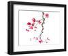 plum blossom-null-Framed Art Print