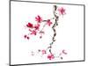 plum blossom-null-Mounted Art Print