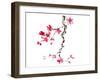 plum blossom-null-Framed Art Print