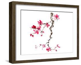 plum blossom-null-Framed Art Print