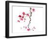 plum blossom-null-Framed Art Print