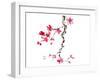 plum blossom-null-Framed Art Print