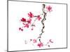 plum blossom-null-Mounted Art Print