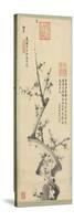 Plum Blossoms, 1894-null-Stretched Canvas