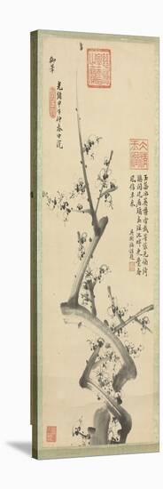 Plum Blossoms, 1894-null-Stretched Canvas