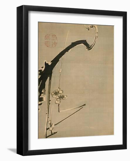 Plum Blossoms, 18th Century-Ito Jakuchu-Framed Giclee Print