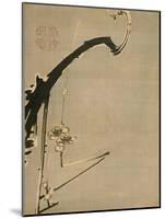 Plum Blossoms, 18th Century-Ito Jakuchu-Mounted Giclee Print