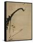 Plum Blossoms, 18th Century-Ito Jakuchu-Framed Stretched Canvas