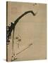 Plum Blossoms, 18th Century-Ito Jakuchu-Stretched Canvas
