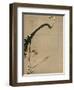 Plum Blossoms, 18th Century-Ito Jakuchu-Framed Giclee Print