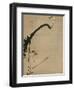 Plum Blossoms, 18th Century-Ito Jakuchu-Framed Giclee Print