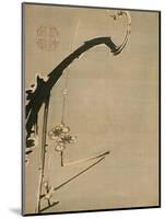 Plum Blossoms, 18th Century-Ito Jakuchu-Mounted Giclee Print