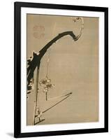 Plum Blossoms, 18th Century-Ito Jakuchu-Framed Giclee Print