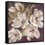 Plum Blossoms 1-Jurgen Gottschlag-Framed Stretched Canvas