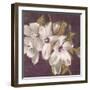 Plum Blossoms 2-Jurgen Gottschlag-Framed Art Print