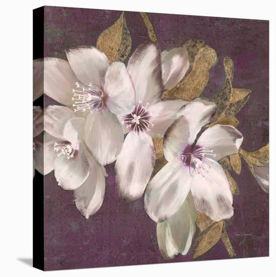Plum Blossoms 2-Jurgen Gottschlag-Stretched Canvas