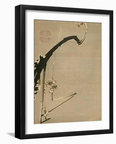 Plum Blossoms - Jakuchu, Ito (1716-1800) - 18Th Century - Watercolour and Ink on Paper - 34,8X26,2-Ito Jakuchu-Framed Giclee Print