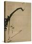 Plum Blossoms - Jakuchu, Ito (1716-1800) - 18Th Century - Watercolour and Ink on Paper - 34,8X26,2-Ito Jakuchu-Stretched Canvas
