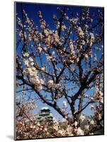 Plum Blossoms & Osaka Castle, Japan-null-Mounted Photographic Print