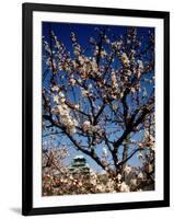 Plum Blossoms & Osaka Castle, Japan-null-Framed Photographic Print