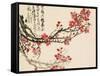 Plum Blossoms-Wu Changshuo-Framed Stretched Canvas