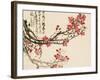 Plum Blossoms-Wu Changshuo-Framed Giclee Print