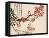 Plum Blossoms-Wu Changshuo-Framed Stretched Canvas