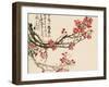 Plum Blossoms-Wu Changshuo-Framed Giclee Print