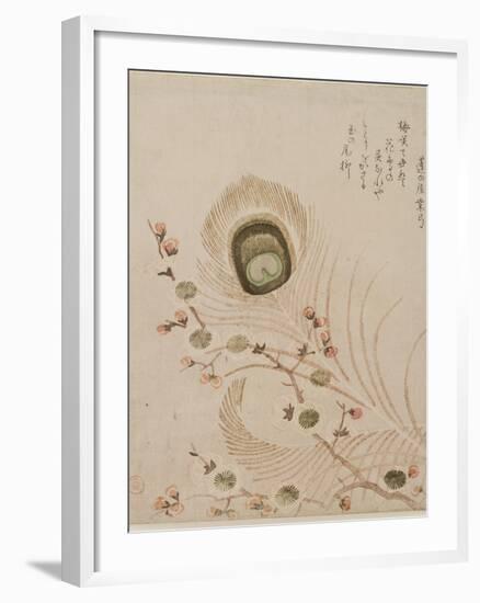 Plum Branch and Peacock Feathers, Mid to Late 1810s-Kubo Shumman-Framed Giclee Print