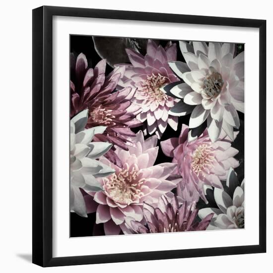 Plum Florals-Kathy Mansfield-Framed Photographic Print