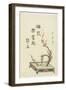 Plum Flower Arrangement-Kitagawa Utamaro-Framed Giclee Print