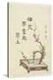 Plum Flower Arrangement-Kitagawa Utamaro-Stretched Canvas