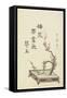 Plum Flower Arrangement-Kitagawa Utamaro-Framed Stretched Canvas