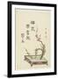 Plum Flower Arrangement-Kitagawa Utamaro-Framed Giclee Print