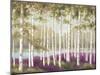 Plum Forest Floor-Jill Schultz McGannon-Mounted Art Print