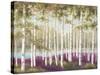 Plum Forest Floor-Jill Schultz McGannon-Stretched Canvas