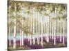 Plum Forest Floor-Jill Schultz McGannon-Stretched Canvas