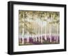 Plum Forest Floor-Jill Schultz McGannon-Framed Art Print