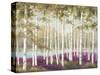 Plum Forest Floor-Jill Schultz McGannon-Stretched Canvas