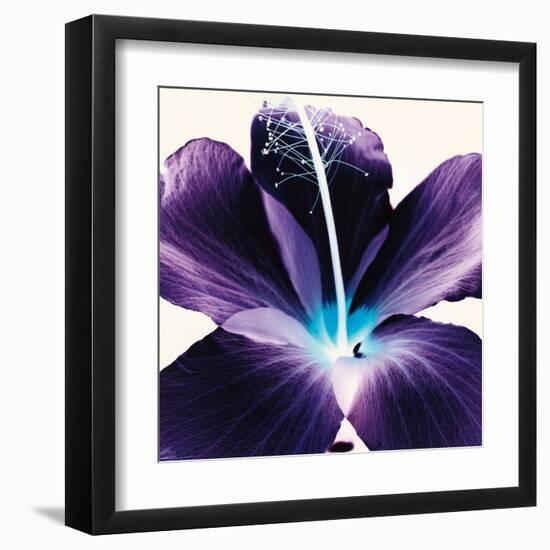 Plum Hibiscus-Christine Caldwell-Framed Art Print