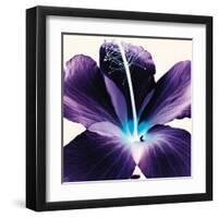 Plum Hibiscus-Christine Caldwell-Framed Art Print