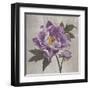 Plum Peonies 1-Gloria Eriksen-Framed Art Print