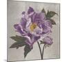 Plum Peonies 1-Gloria Eriksen-Mounted Art Print